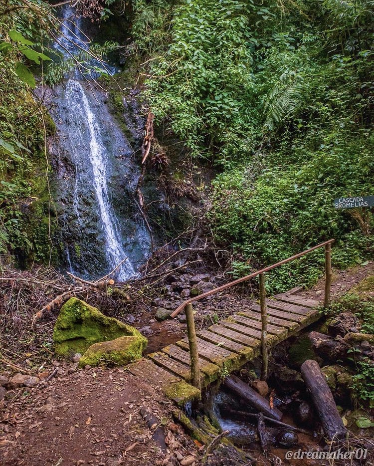 Blog Parque Nacional Los Quetzales en Costa Rica Parte 2 1