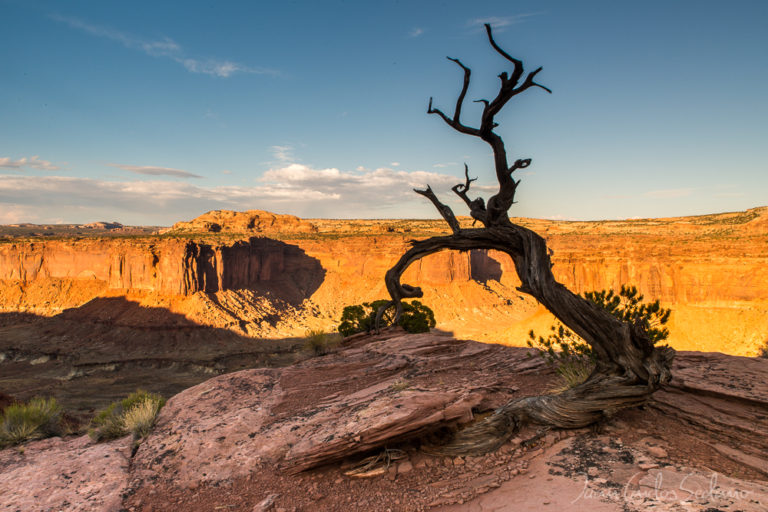 Fotografía Paisaje Naturaleza