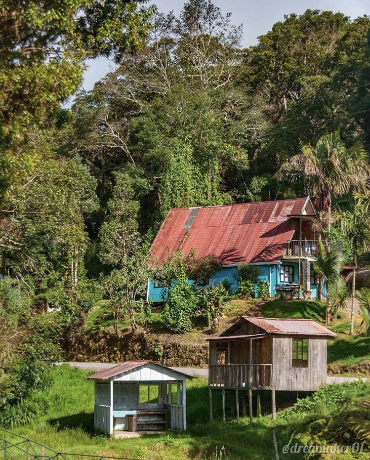 Blog Parque Nacional Los Quetzales en Costa Rica Parte 2 2